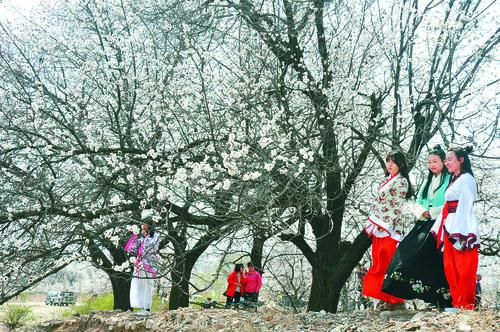 伟德国际官方 数字平台